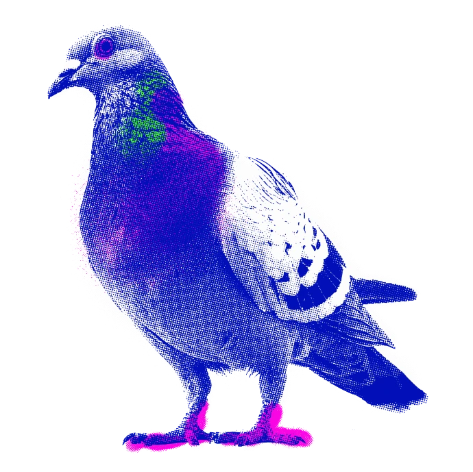 Dove